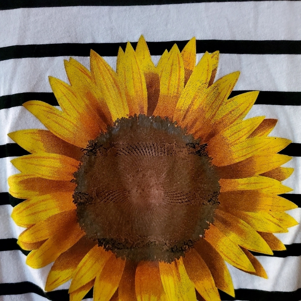 Striped Sunflower Crop T Shirt - Picture 6 of 6